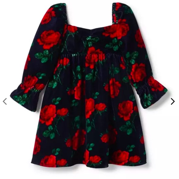Janie and Jack Other - Janie and Jack velvet Navy w/ Red Rose Dress size 5 NWOT